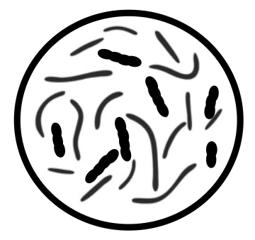 Capture d’écran 2026-03-10 à 09.38.28