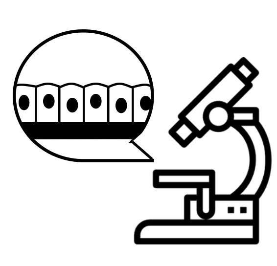 Capture d’écran 2026-03-10 à 09.39.38